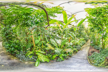 Botanischer Garten Basel - Tropenhaus