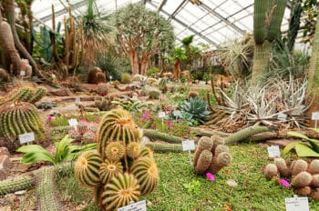Botanischer Garten Bonn Fotos
