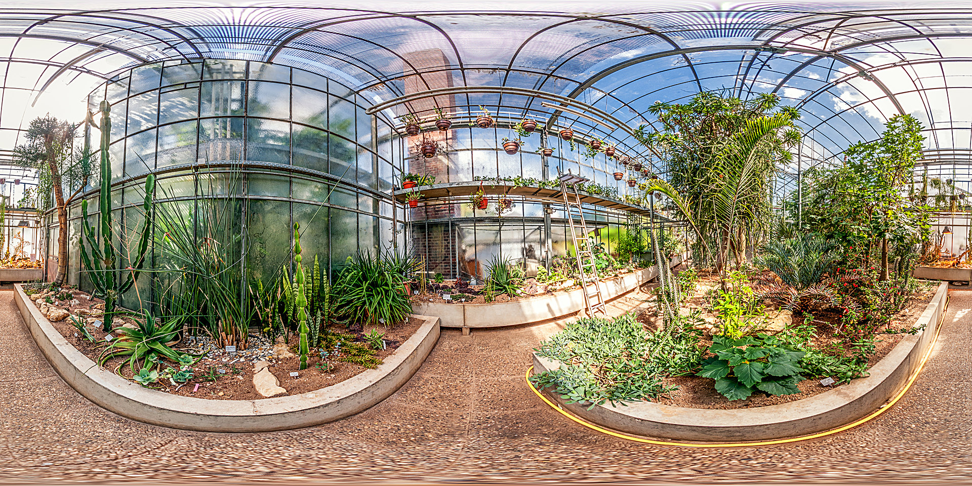 Botanischer Garten Darmstadt – Sukkulentenhaus