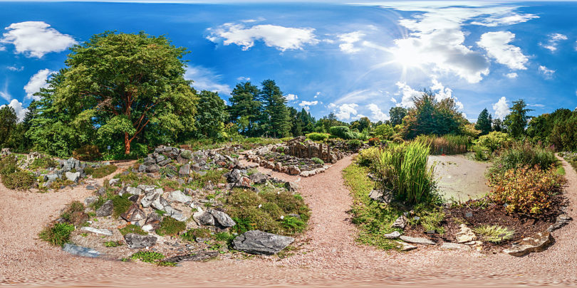 Botanischer Garten Darmstadt - Teich