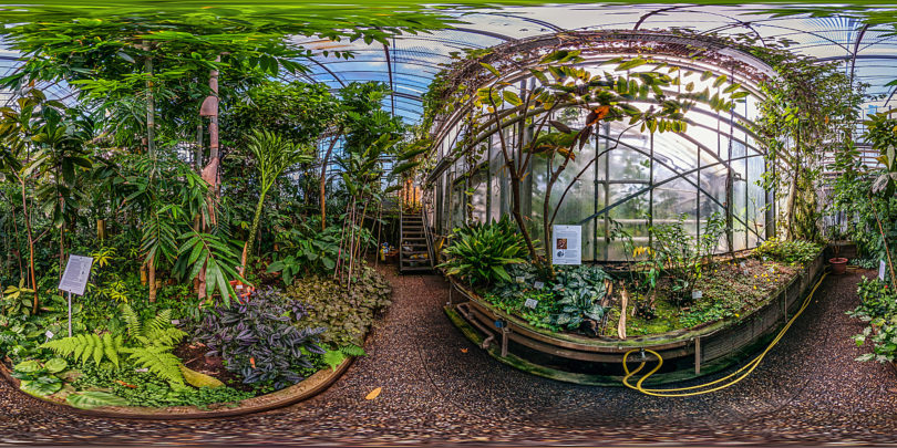 Botanischer Garten Darmstadt – Tropenhaus