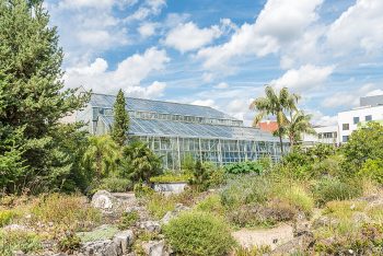 Botanischer Garten Erlangen