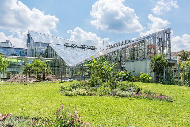Botanischer Garten Freiburg