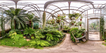 Gewächhaus für Farne und farnverwandten Pflanzen am botanischer Garten Gießen