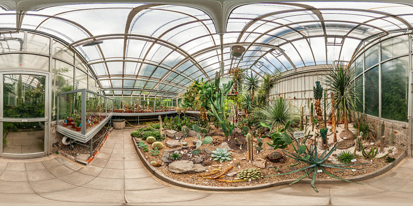 Botanischer Garten Giessen - Sukkulentenhaus