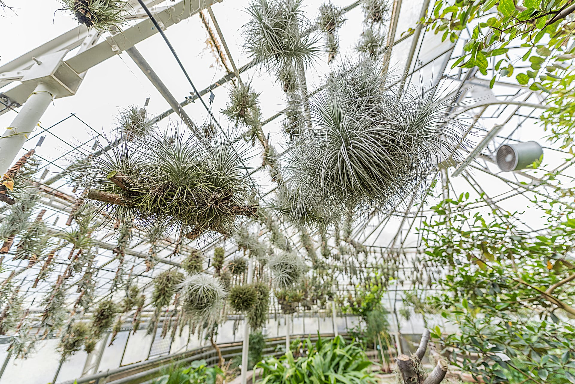 Botanischer Garten Heidelberg Botanischer Garten