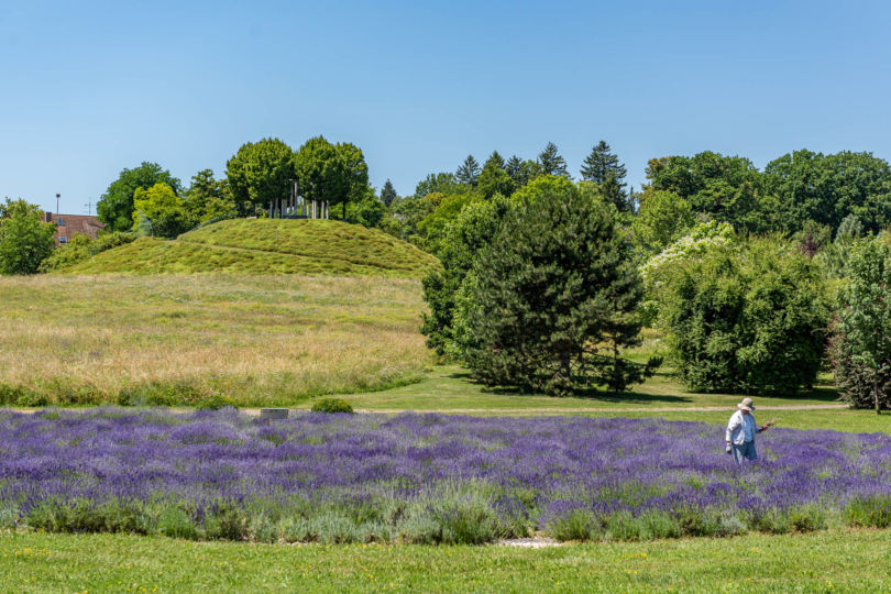 Botanischer Garten und Exotengarten der Universität Hohenheim