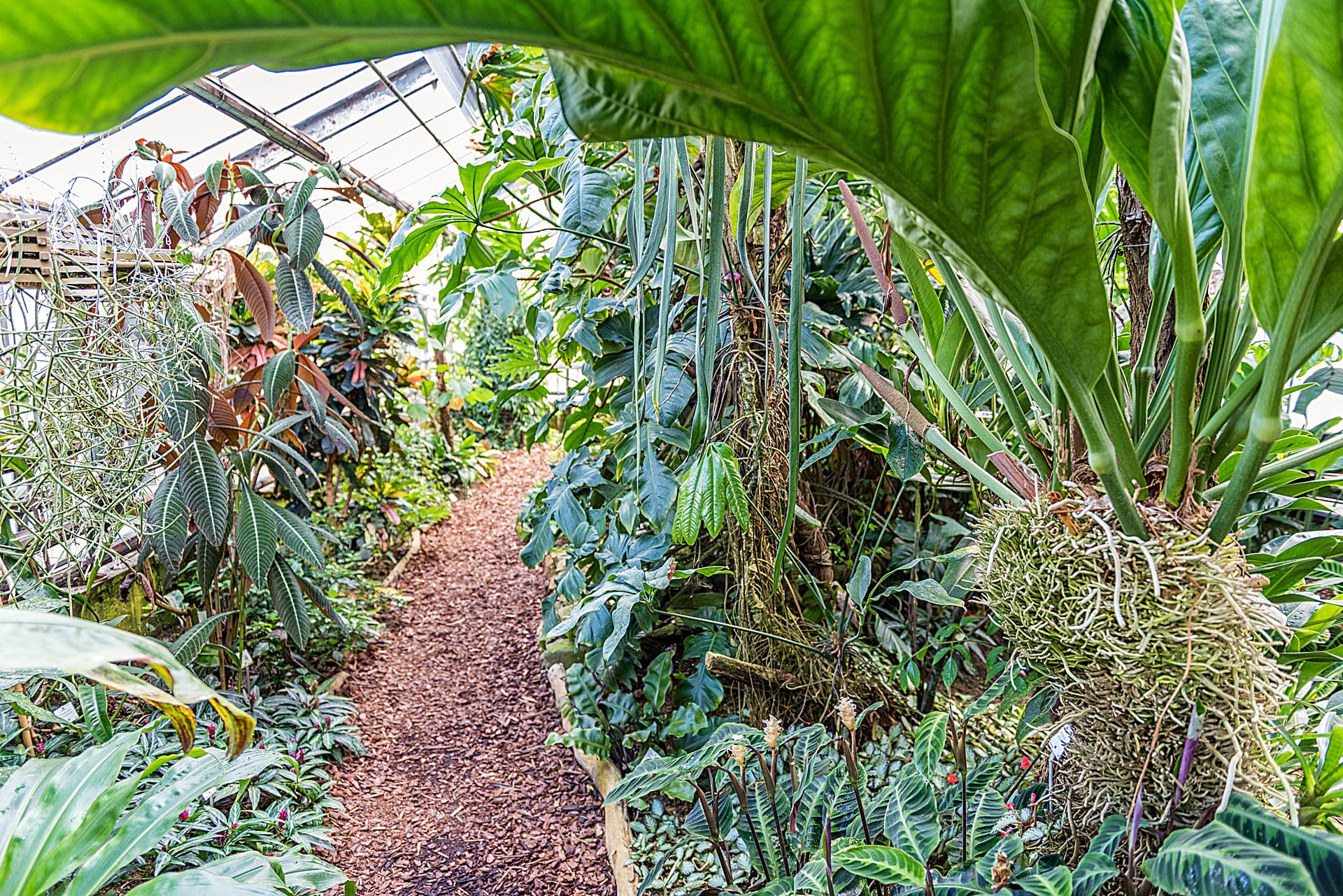 Botanischer Garten Mainz Botanischer Garten