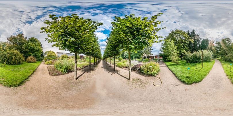 Botanischer Garten Mainz