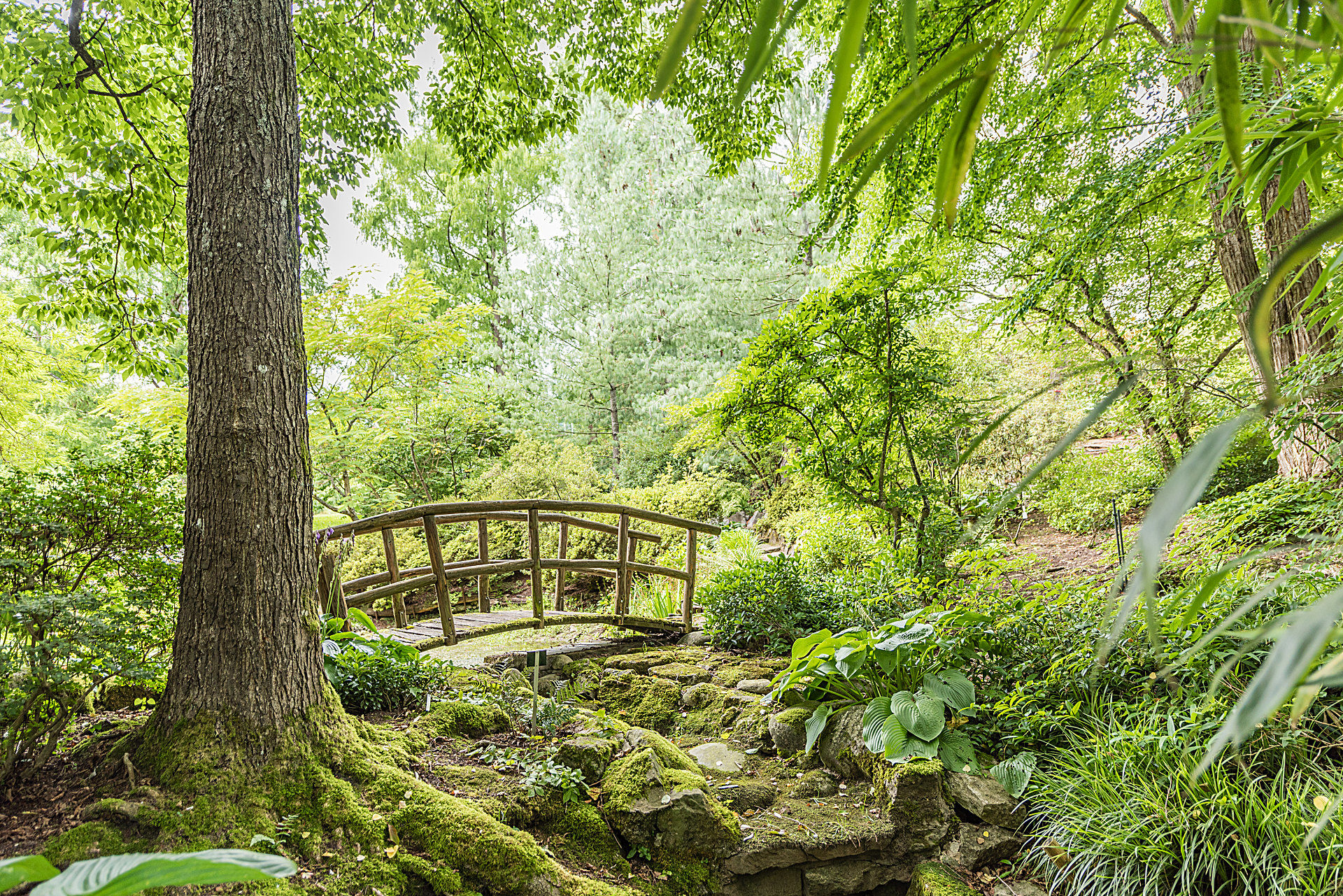 Tropicarium Botanischer Garten
