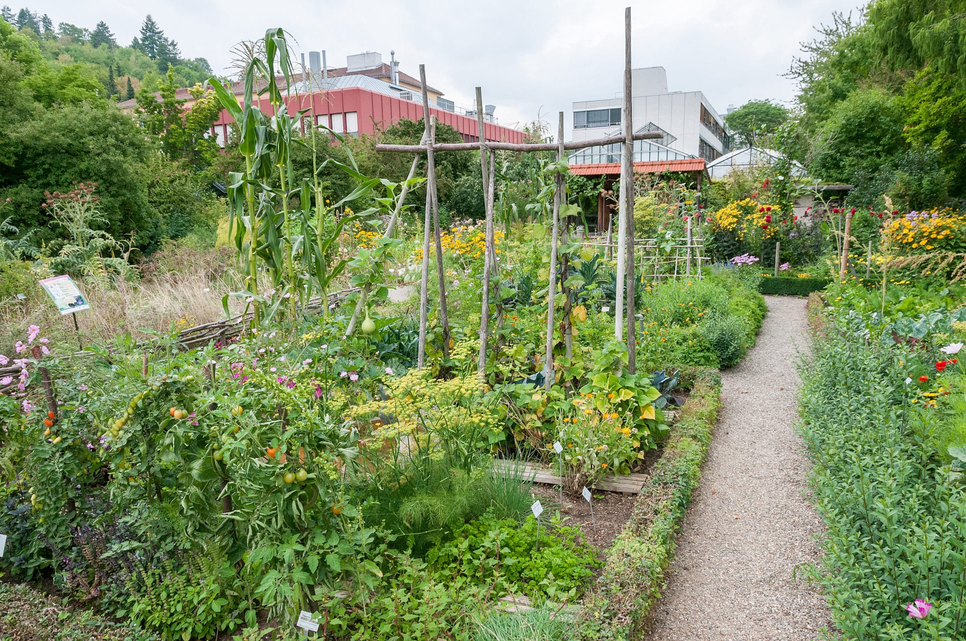 Botanischer Garten Adorf Miniaturschauanlage Klein