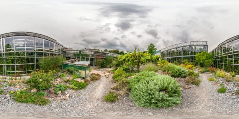 Botanischer Garten Würzburg - Mediterraner Innenhof