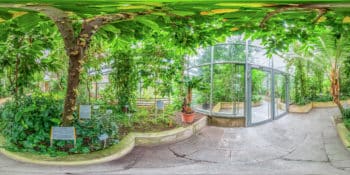 Botanischer Garten Würzburg -Tropische und subtropische Nutzpflanzen