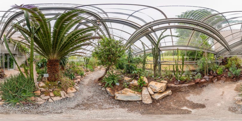 Sukkulentenhaus - Afrika und Madagarskar am botanischen Garten Würzburg