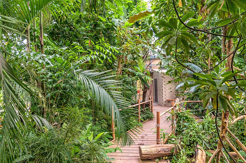 Botanischer Garten Würzburg - Tropenschauhaus Tieflandregenwald