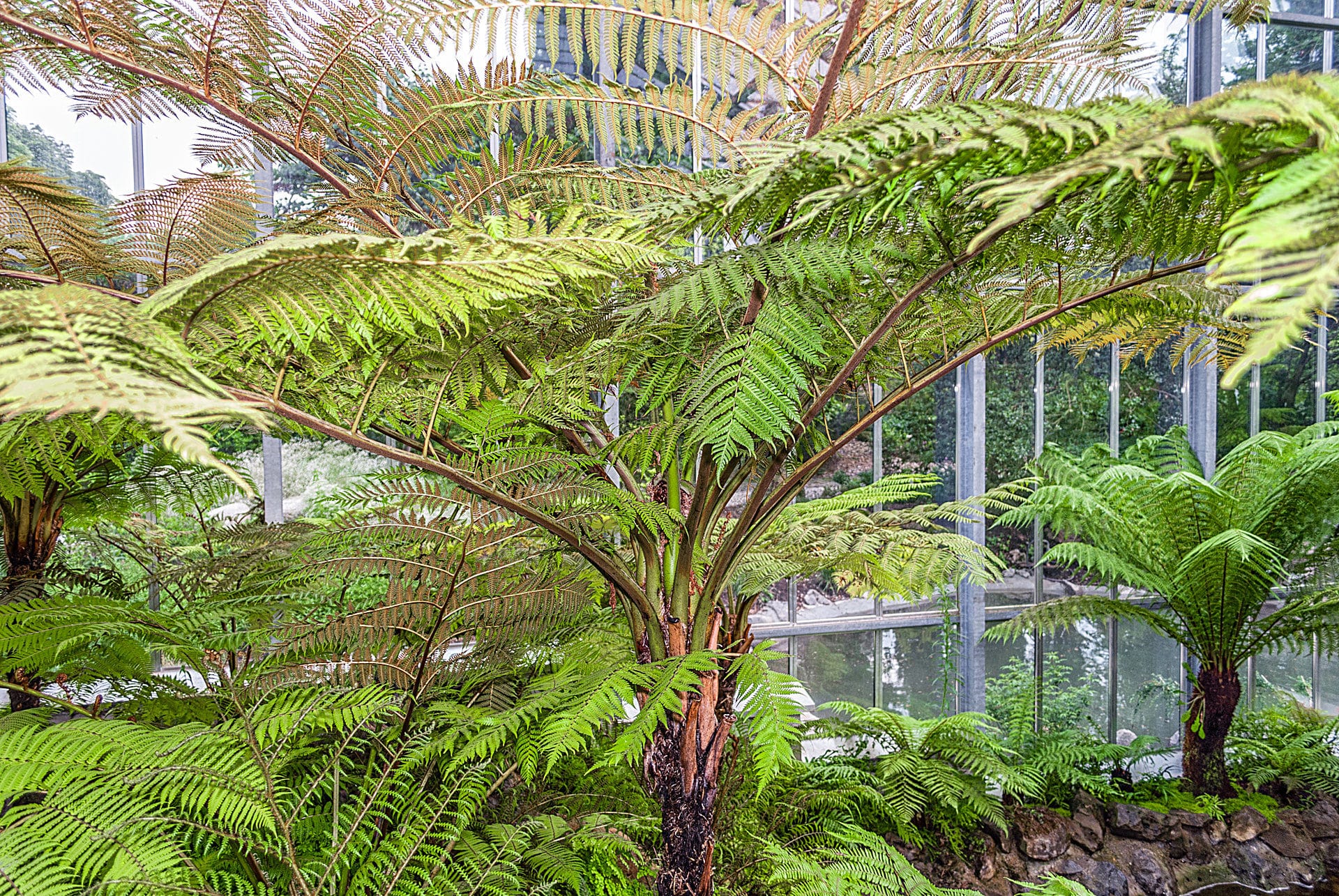 Mannheim Botanische Garten In Mannheim