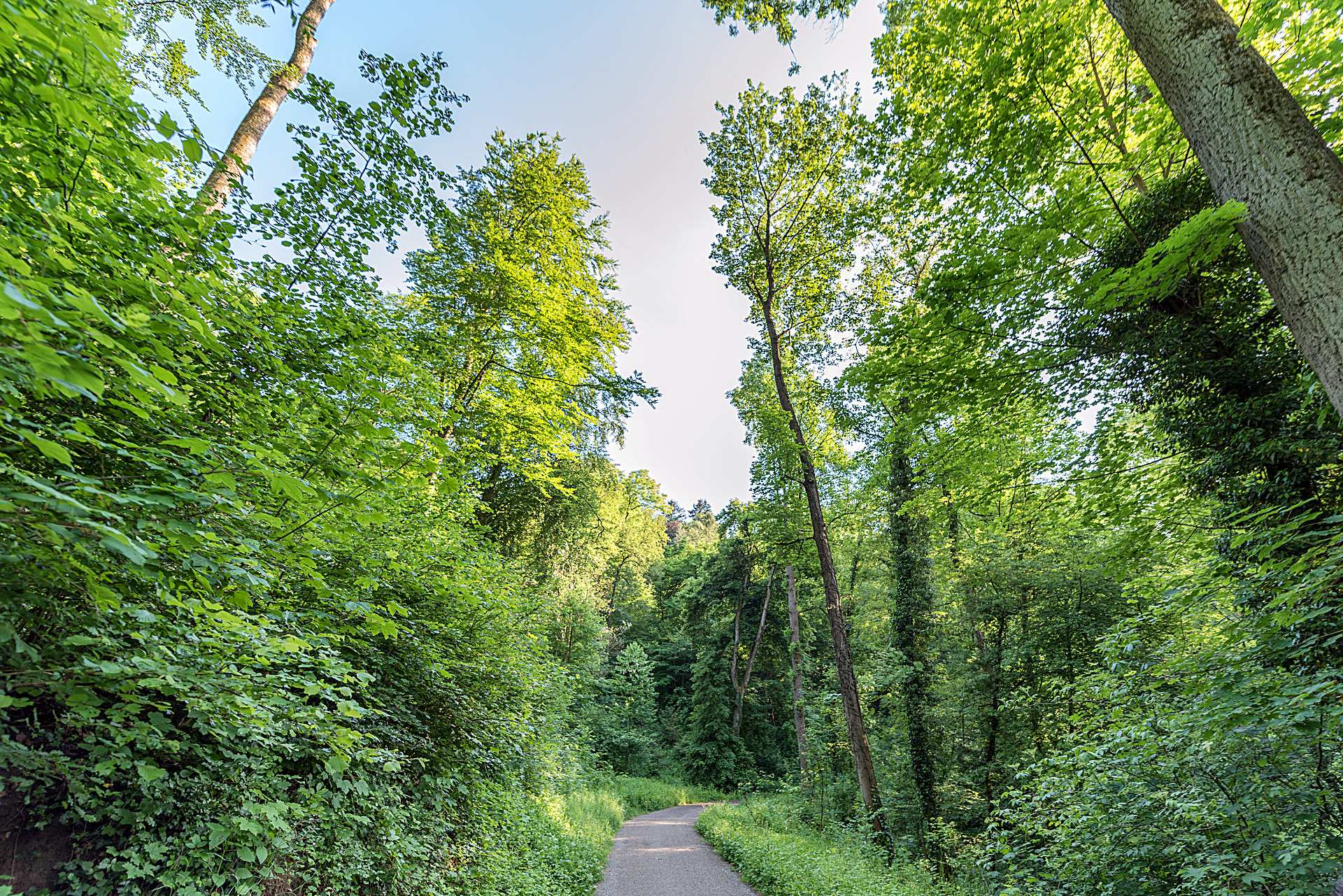 Weinheim Botanische Garten In Weinheim