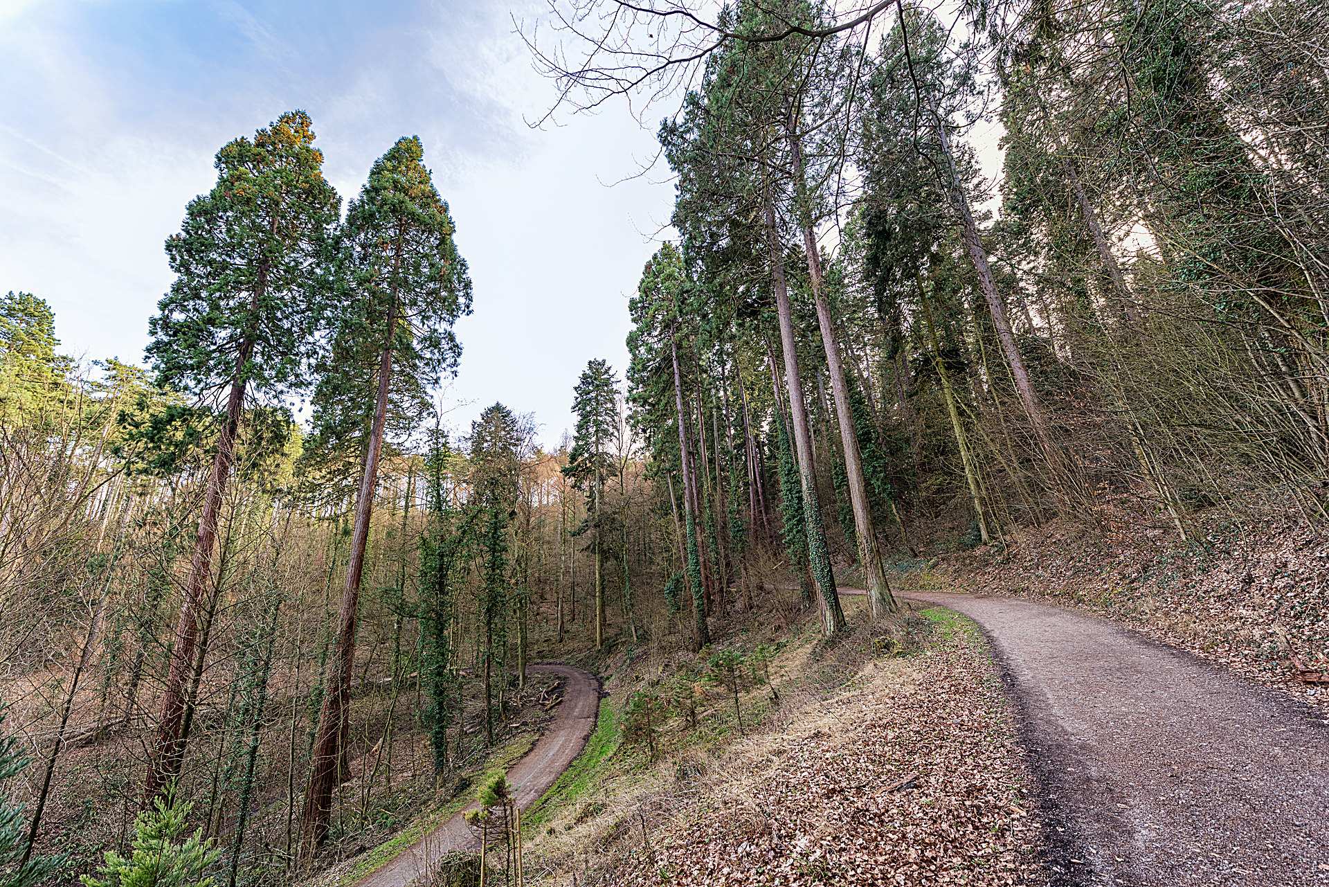 Weinheim Botanische Garten In Weinheim