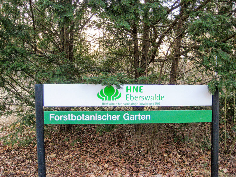 Forstbotanischer Garten Eberswalde