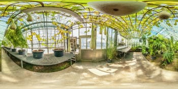 Botanischer Garten Mainz - Gewächshaus für Tropische Nutzpflanzen