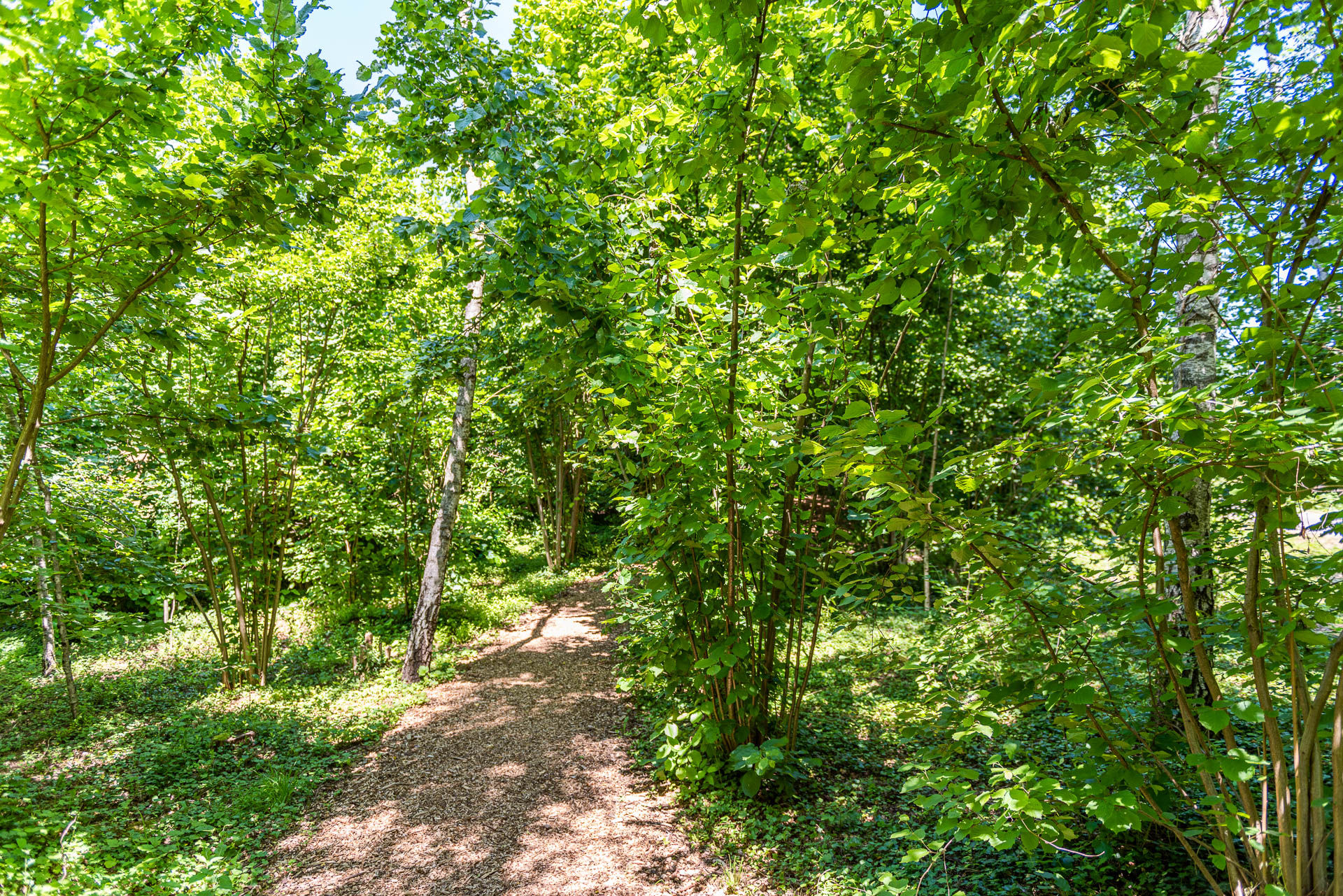 38+ großartig Fotos Botanischer Garten Hohenheim : Natur- und Völkerkunde in Stuttgart und Tübingen / Botanischer garten und exotengarten der universität hohenheim der botanische garten und exotengarten der universität hohenheim, zusammen auch als hohenheimer gärten bezeichnet, liegen im stuttgarter stadtteil