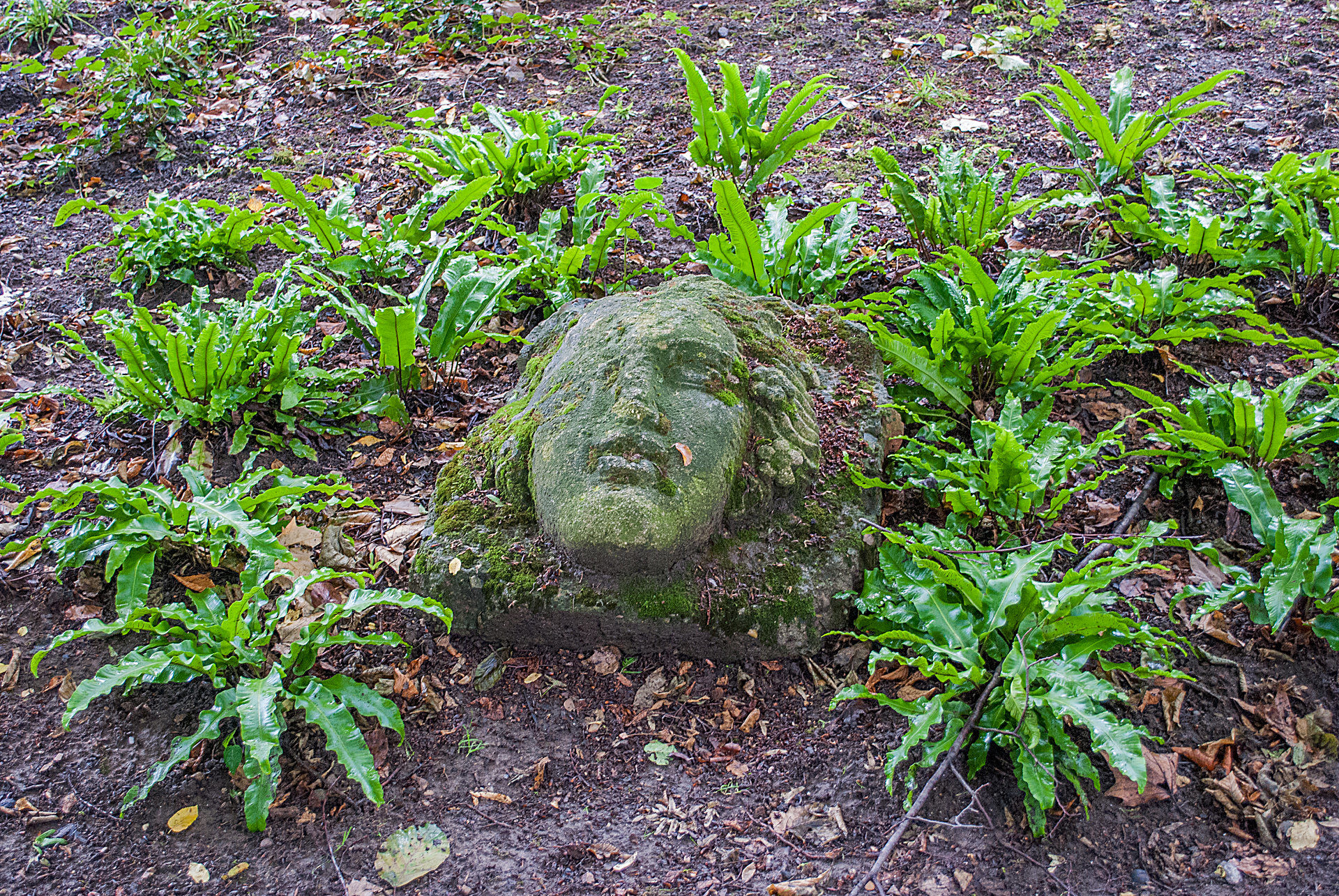 35+ Botanischer Garten Mannheim, Auch der 21 hektar große
