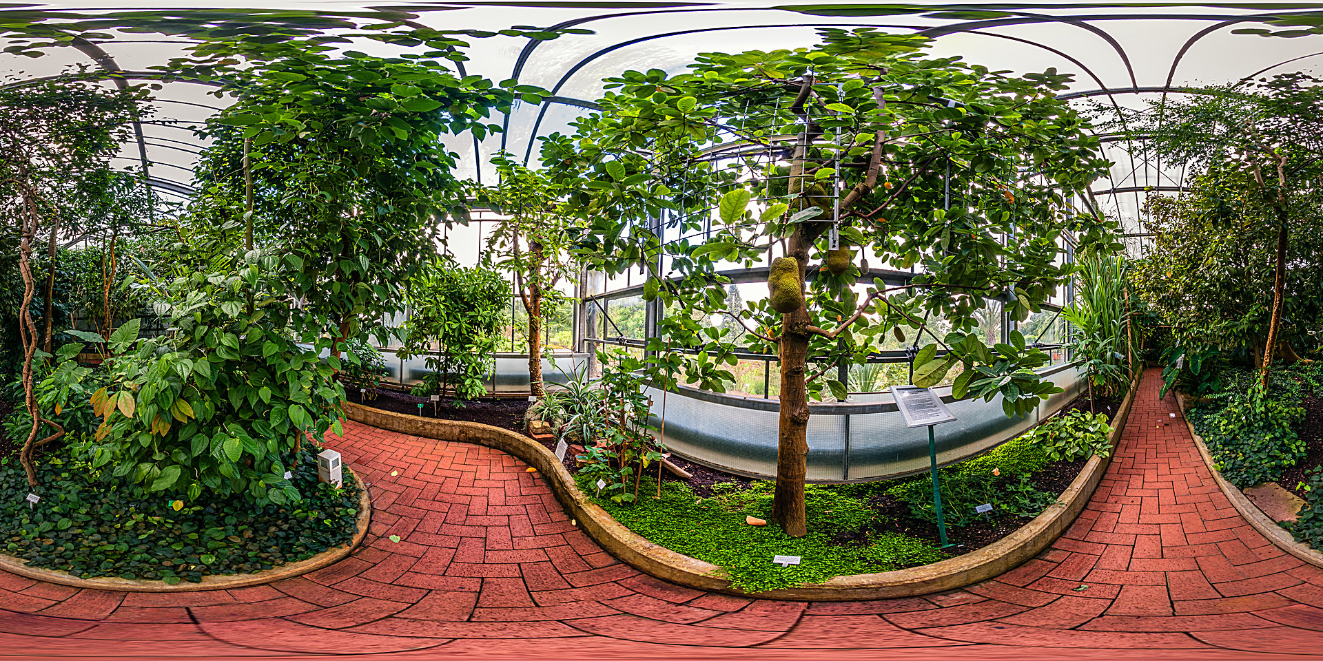 Botanischer Garten Marburg Nutzpflanzenhaus