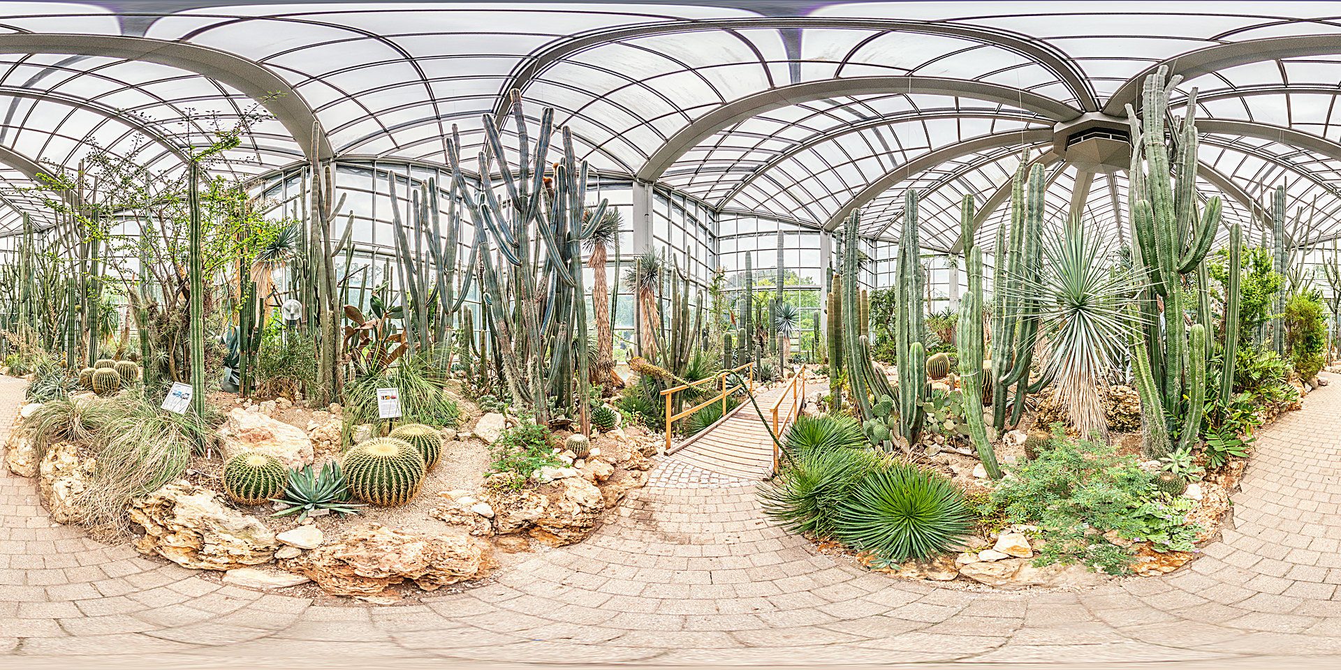 Palmengarten In Frankfurt Am Main Botanischer Garten