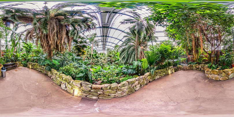 Palmengarten Frankfurt Palmenhaus Botanischer Garten