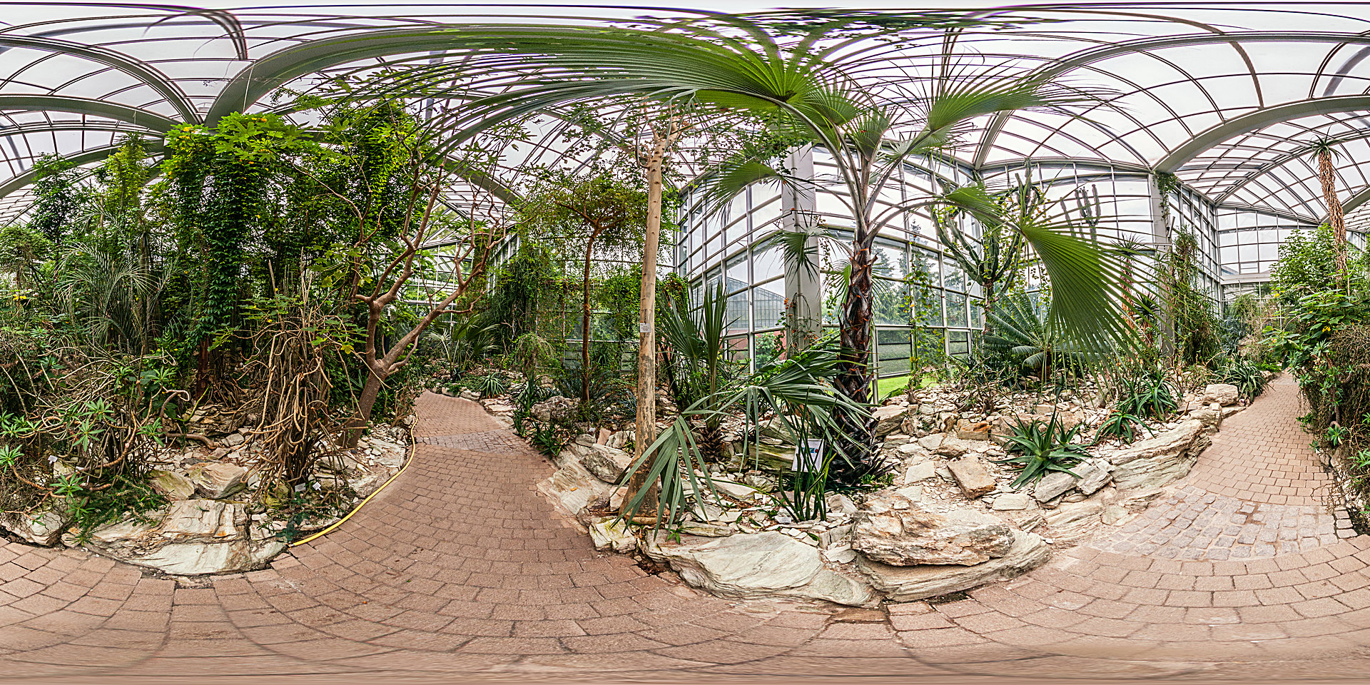 Palmengarten Tropicarium Dornwald Botanischer Garten