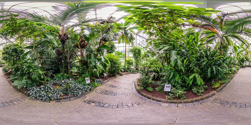 Palmengarten - Tropicarium Monsunwald