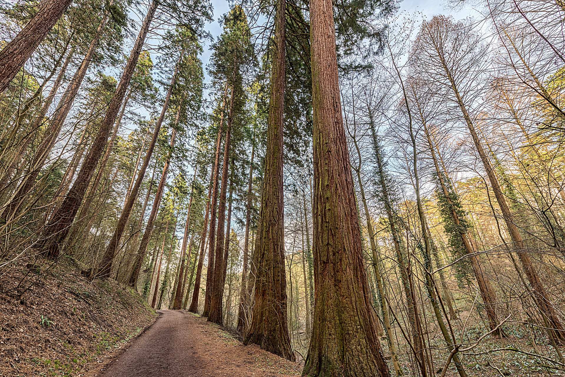 Exotenwald Weinheim Botanischer Garten