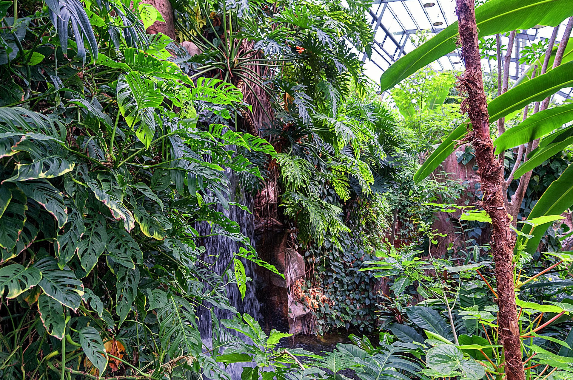 Stuttgart Wilhelma Fotos Botanischer Garten